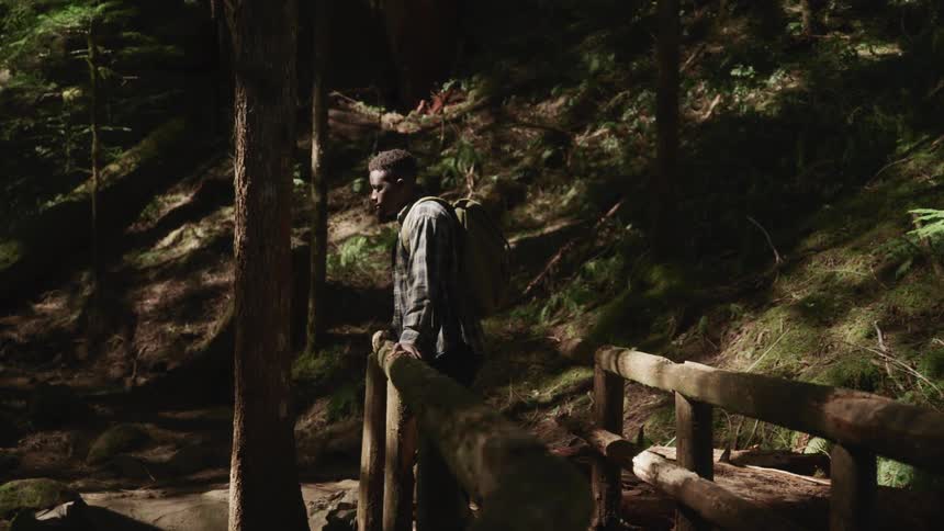 A teenage boy stands in a forest and looks up