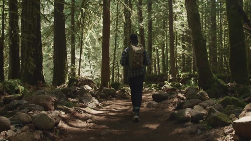 Teenager black boy with a backpack and a shirt walks along dirt track in the forest