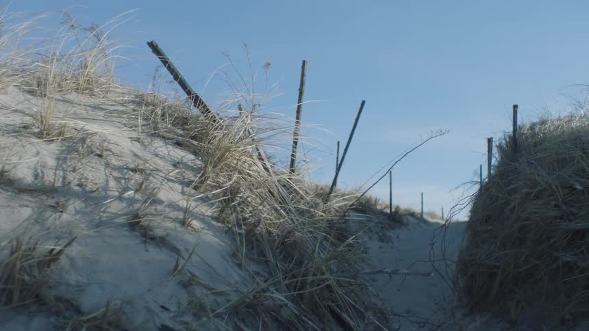 Hills covered with tall yellow grass and sand on a sunny day