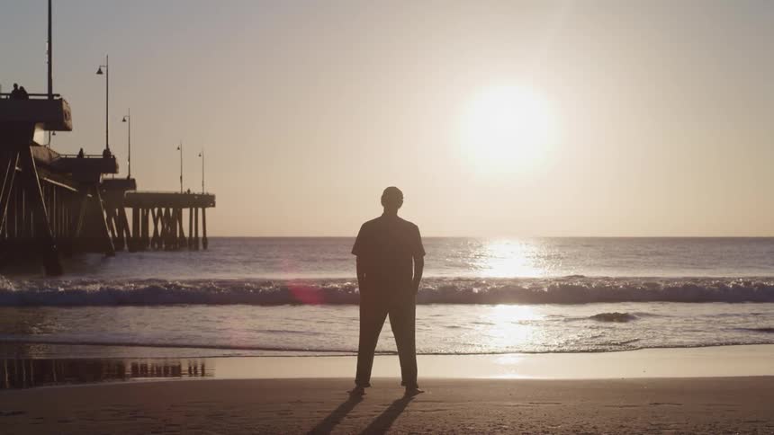 A man is standing on the coast of a beach