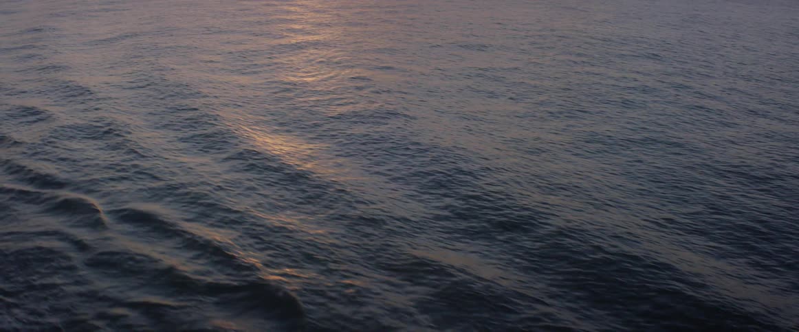 Sunlight reflects off of rippling water