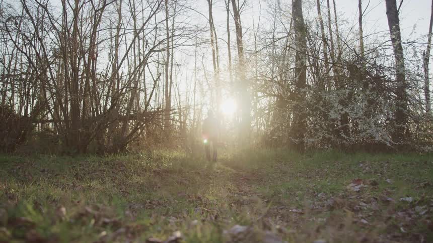 A person walking across a field towards bare trees