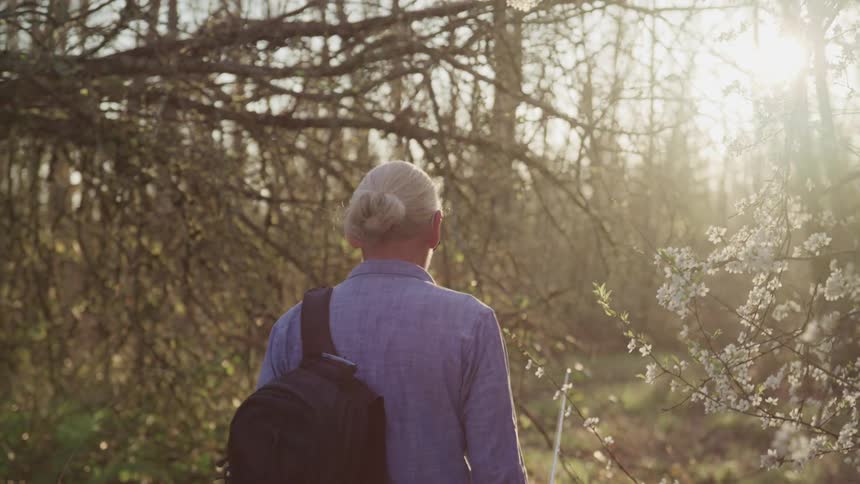 Elderly man with long grey hair a blue shirt and a black backpack walks on a dirt track through flowering trees in the forest at sunset