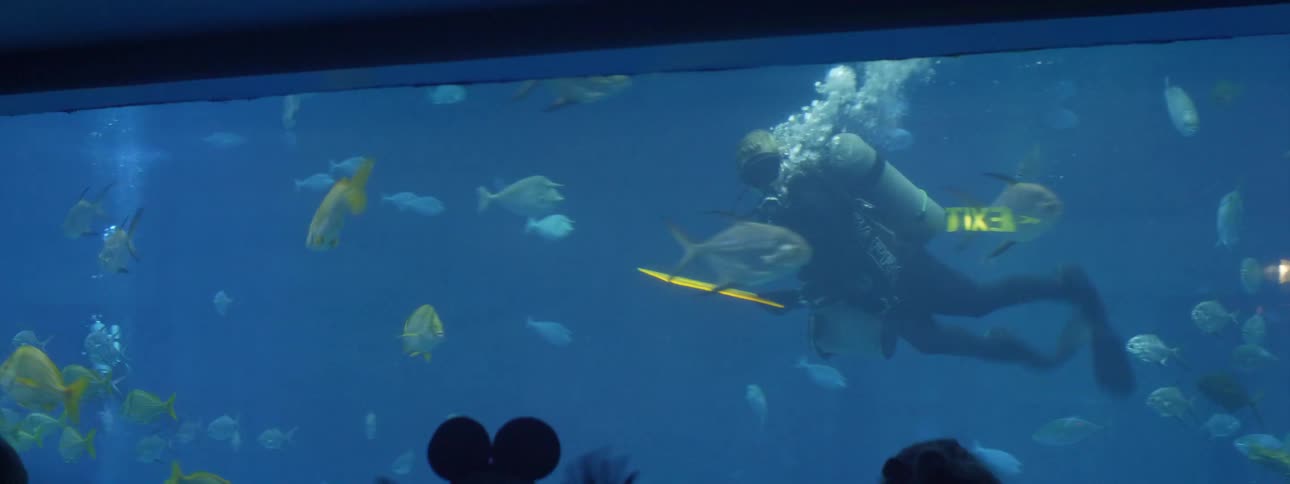 A scuba diver swims through the fish tank of an aquarium and waves at the customers watching from outside the tank