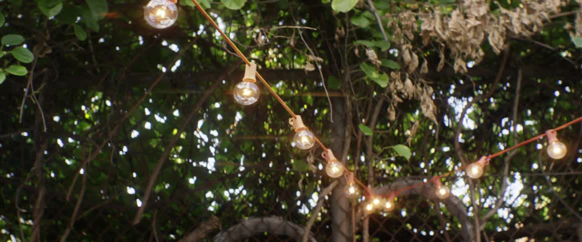 A string of light bulbs are hanged from some trees