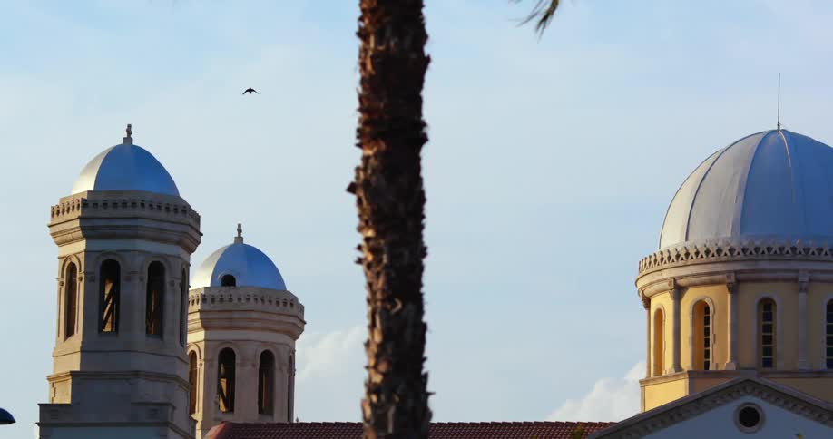 A bird flies high over the building
