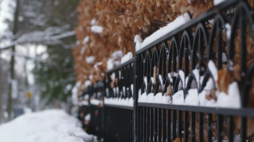 A snow covered iron fence on a windy winter day