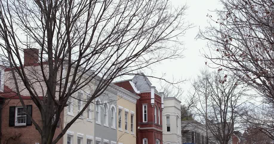 Bare trees on a town street with row houses