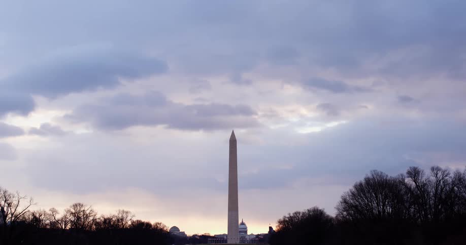 Tall column sits between the trees as a bird flies by