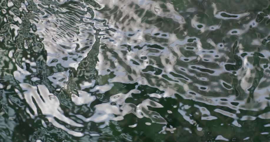 A close up view of a lake is displayed
