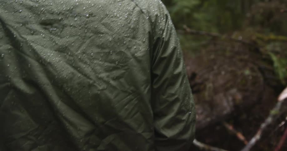 Hikers walk through the forest in the rain on a trail impeded by fallen trees