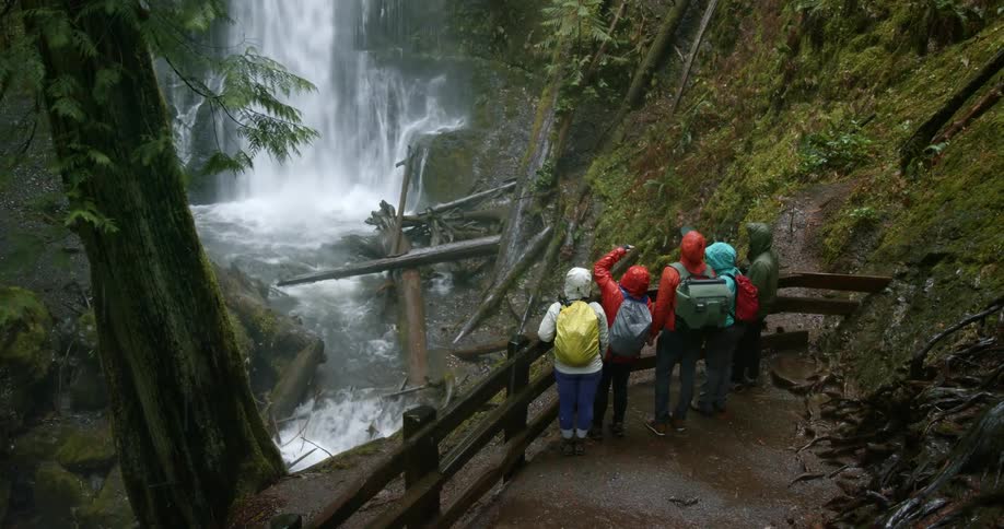 Four people watch a raging waterfall