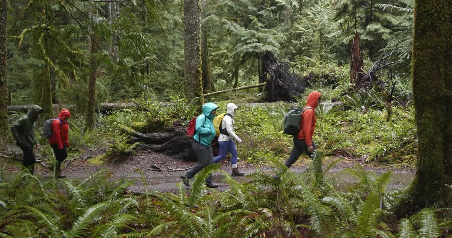 A group of hikers walk along a muddy path through a forest on a rainy day