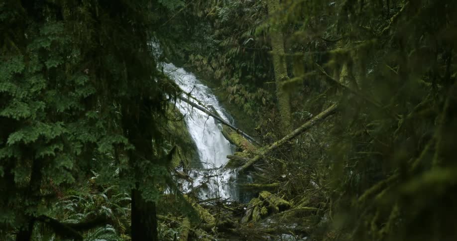 Waterfall flowing over the moss covered rocks in a forest