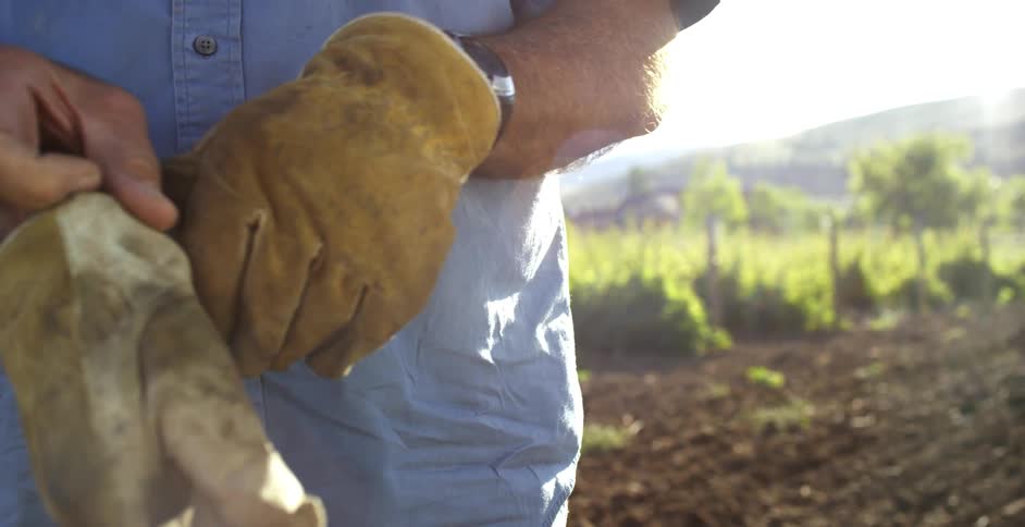 A man standing on farm land and next to a tractor puts on a pair of gloves