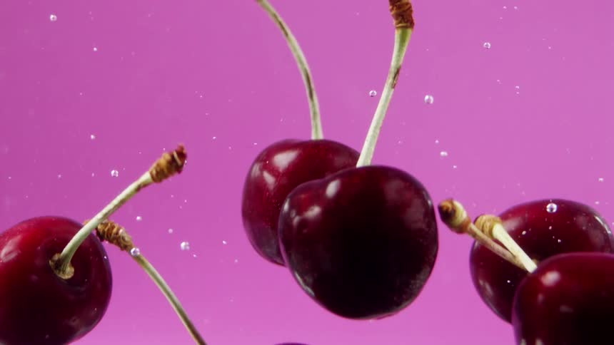 Red cherries fall into water with a pink background