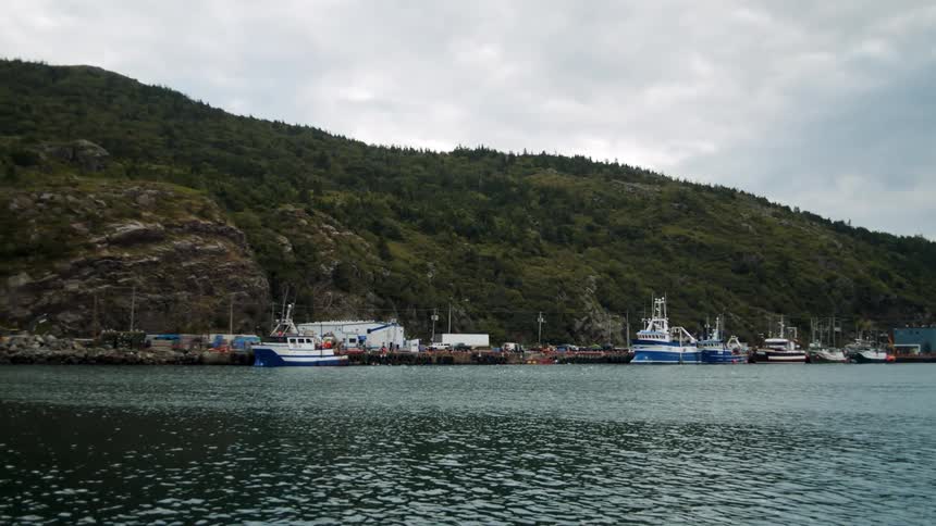 Boats in a small island harbour on the ocean.
