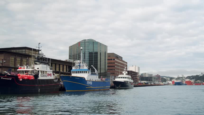Fishing boats on the pier of a waterfront city