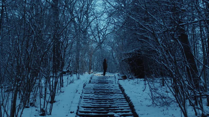 A man stands on a stairway next to the snow covered ground and on some stairs