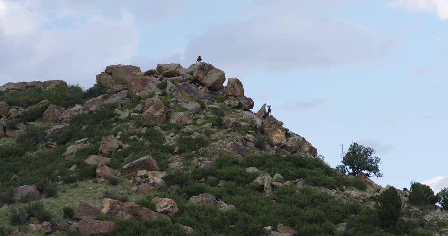 A person stands atop a rocky hill