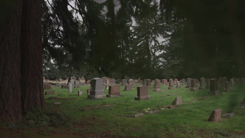 Headstones in a cemetery