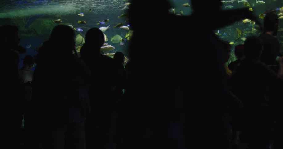 A crowd of people in front of a large indoor aquarium