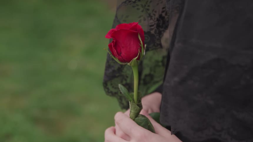 A person in a black lace veil mourns while holding a red rose