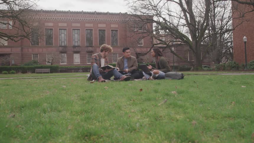 Two men and a woman sit together on a blanket in the grass in front of a university as they chat and study together