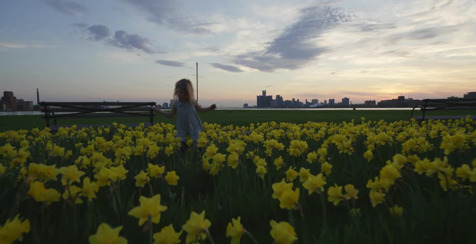 A girl carefully steps through a field of bright yellow flowers at sunset