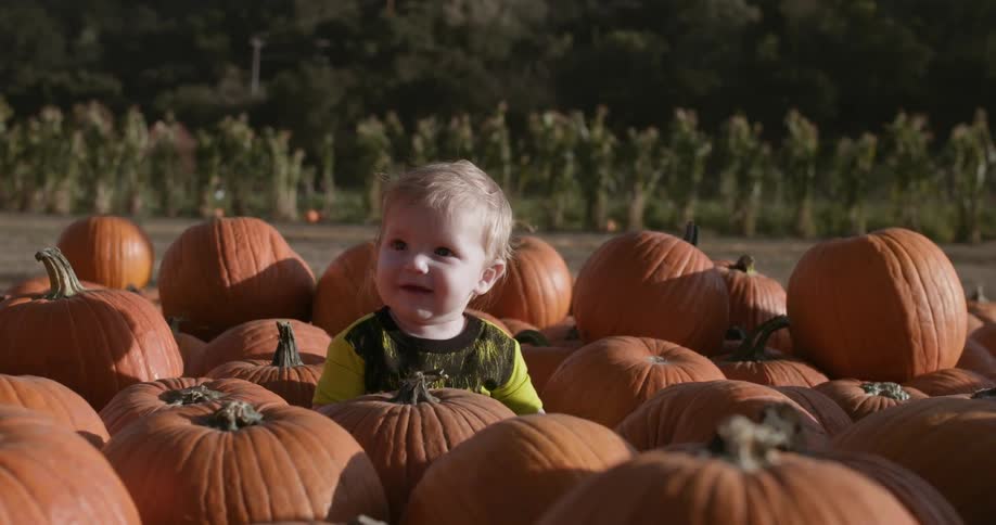 A baby sits in a pumpkin patch