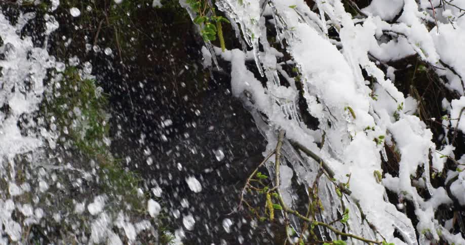 Water gushing next to a snow covered tree branch in winter