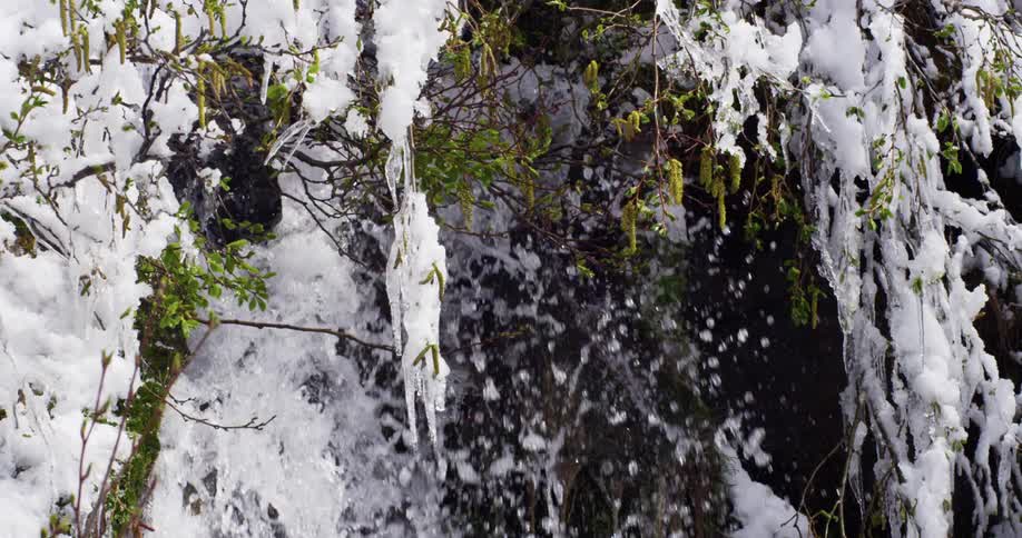 A waterfall with ice and plants on a cliff