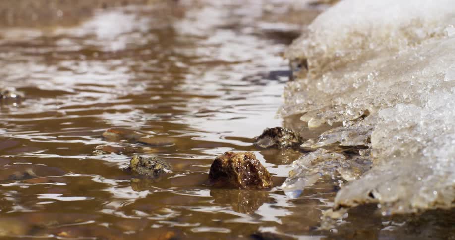 Snow melting into a stream in spring