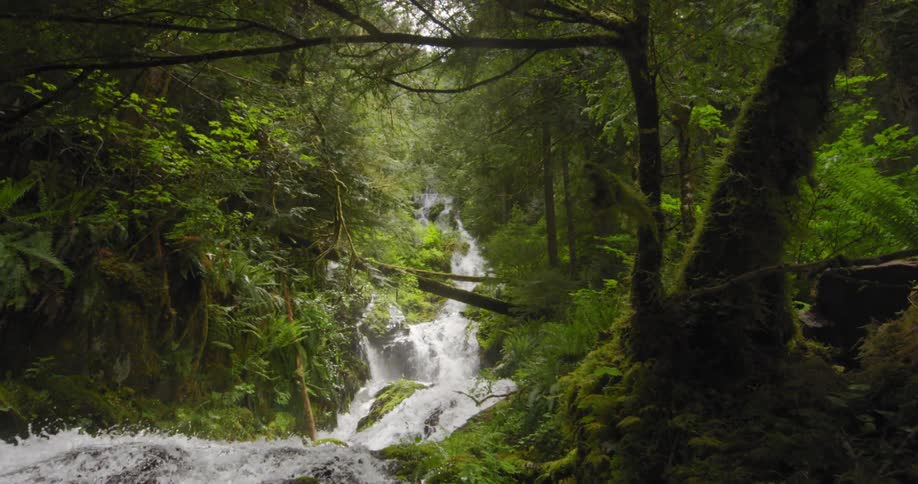Push on water flowing down series of waterfalls in dense forest