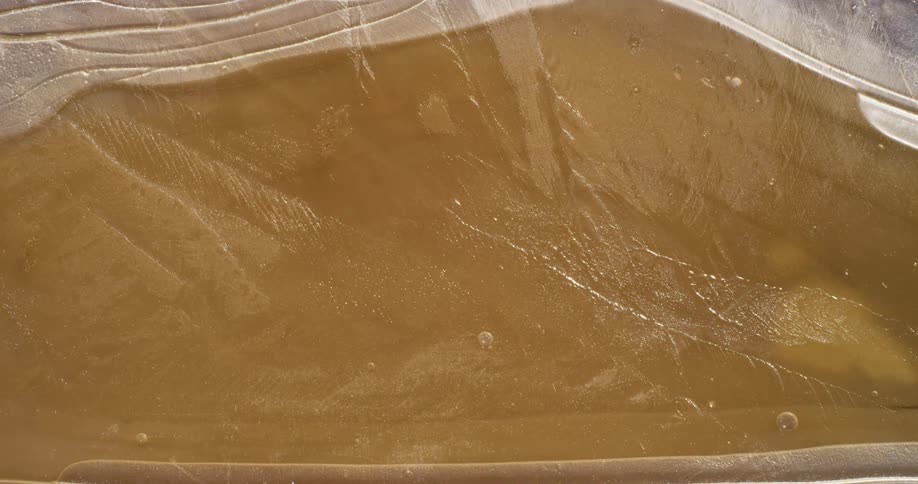 A frozen puddle fills with water