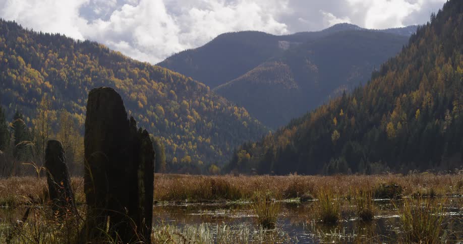 A marsh in front of hills and an autumn forest