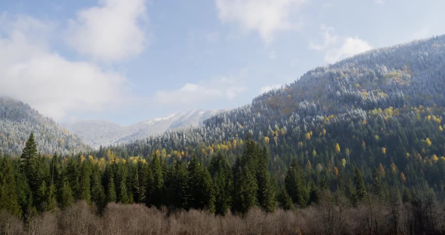 An autumn forest with snow in the peaks beyond