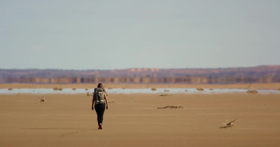 A woman walking across an endless desert