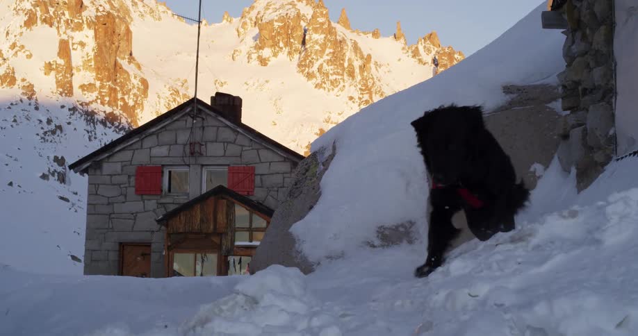 A black dog walks through the snow in front of a small stone house in the mountains