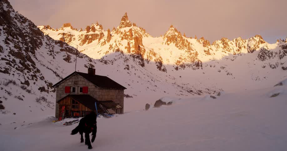 A dog running away from a cabin in snowy mountains