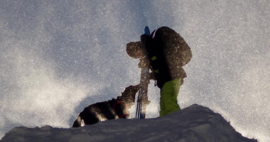 Skier stands atop a mountain with dog as stunning snow swirls