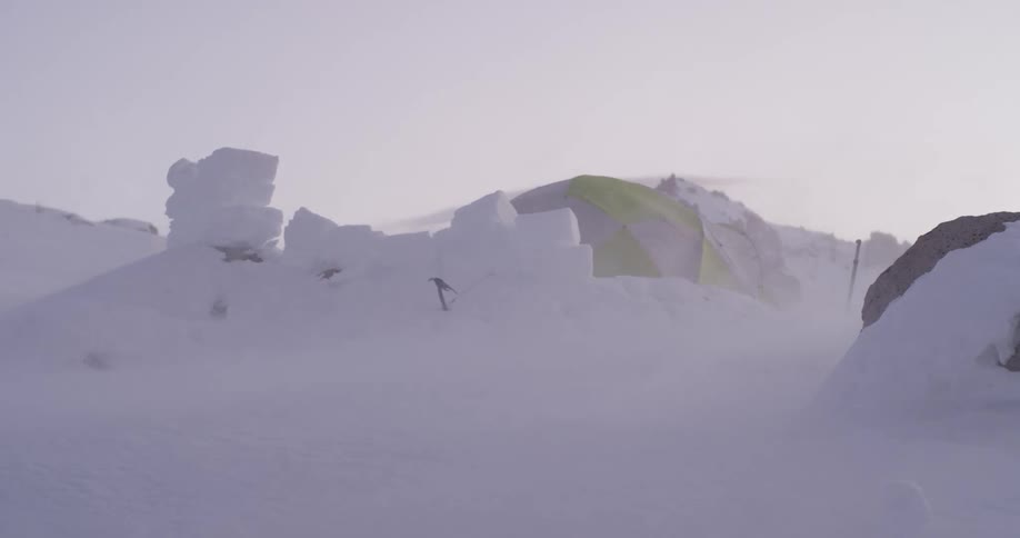 Snow blows across icy land and a tent