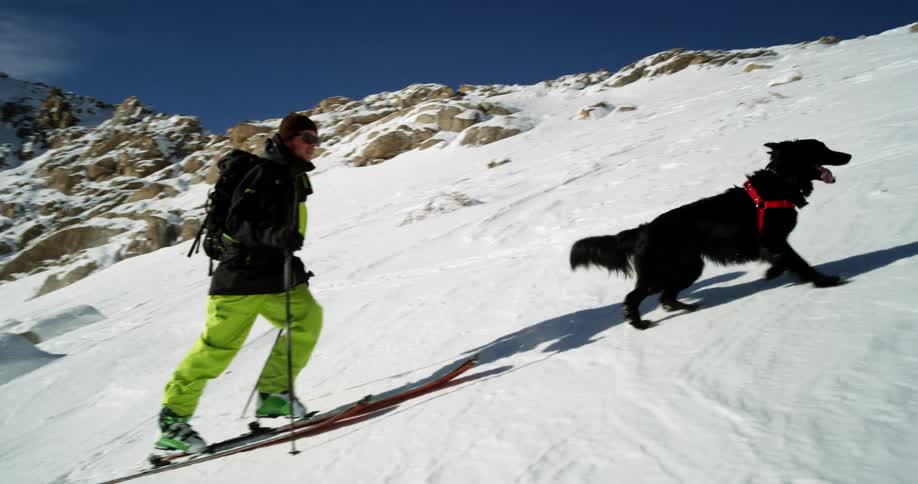 A man and his dog trek up a mountain on skis