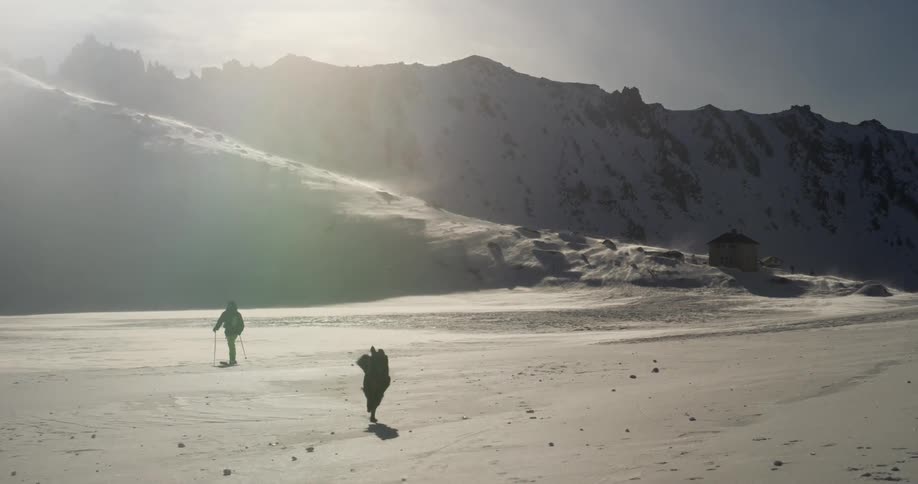 A dog plays ahead of a person skiing across a snowy field