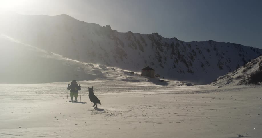 Skier drops to knees to greet dog running to meet him across snowy plain