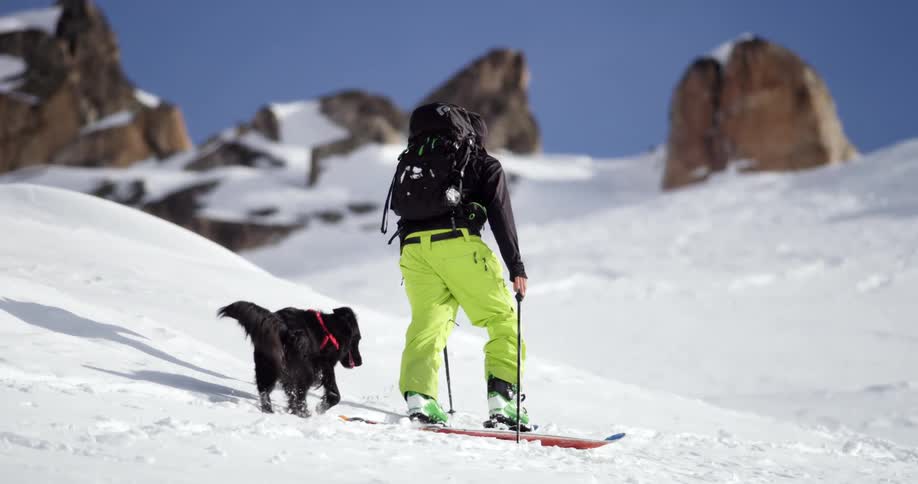 A man and a dog climbing a snow covered mountain using skis