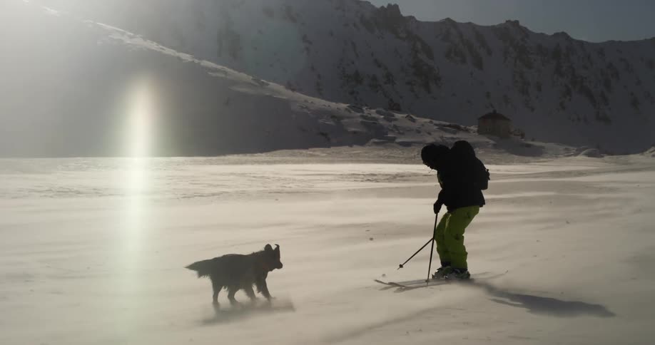 A skier plays with his dog in the blowing snow