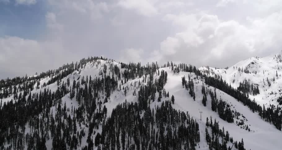 Aerial view of a pine tree forest on the snow covered slopes of a mountain range peak