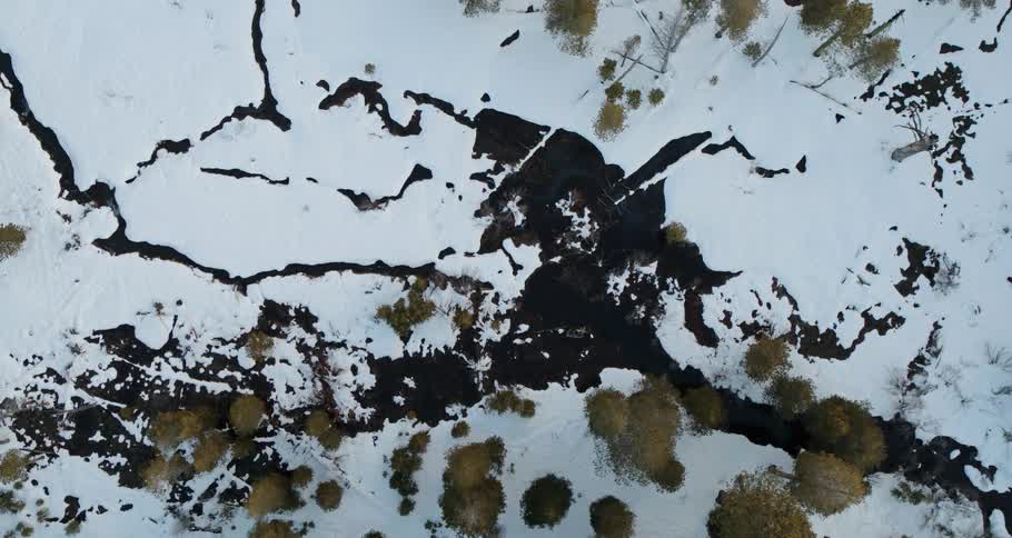 Frozen water lands with trees snow and ice