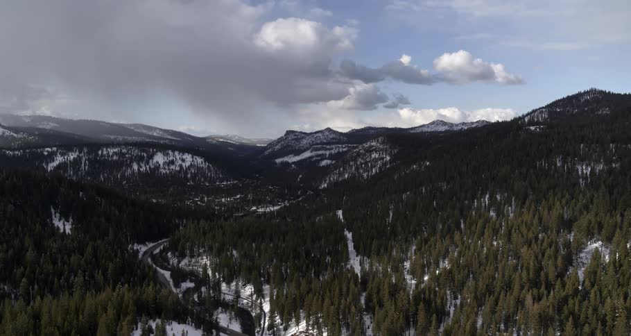 Aerial view of a forest and mountains